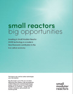 Small Reactors. Big Opportunities
