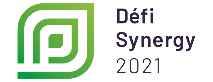 Défi Synergie 2021 (logo)