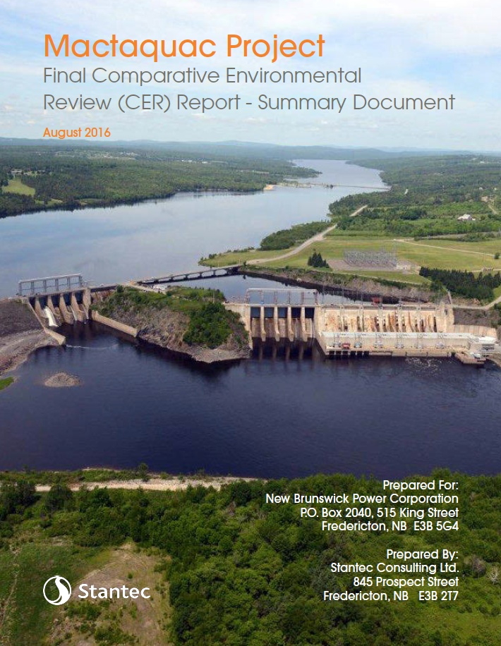 Final Comparative Environmental Review (CER) Report - Summary Document