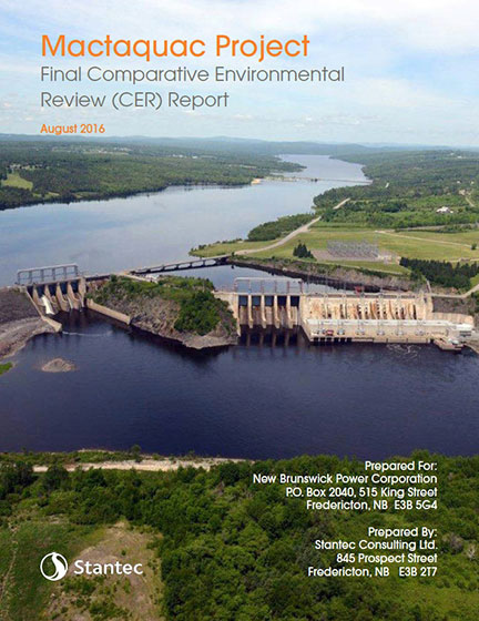 Final Comparative Environmental Review (CER) Report
