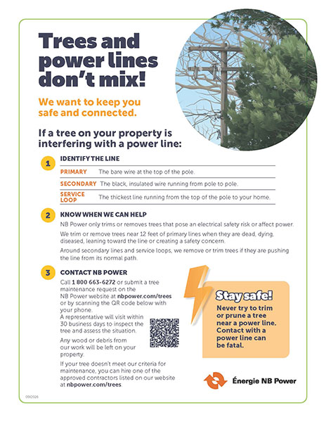 Trees and power lines don't mix! Trees and power lines don't mix!